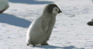 河南任性直降13℃！速凍模式已開啟！